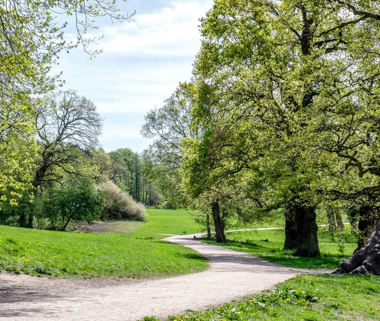 Jenischpark – Bild 1