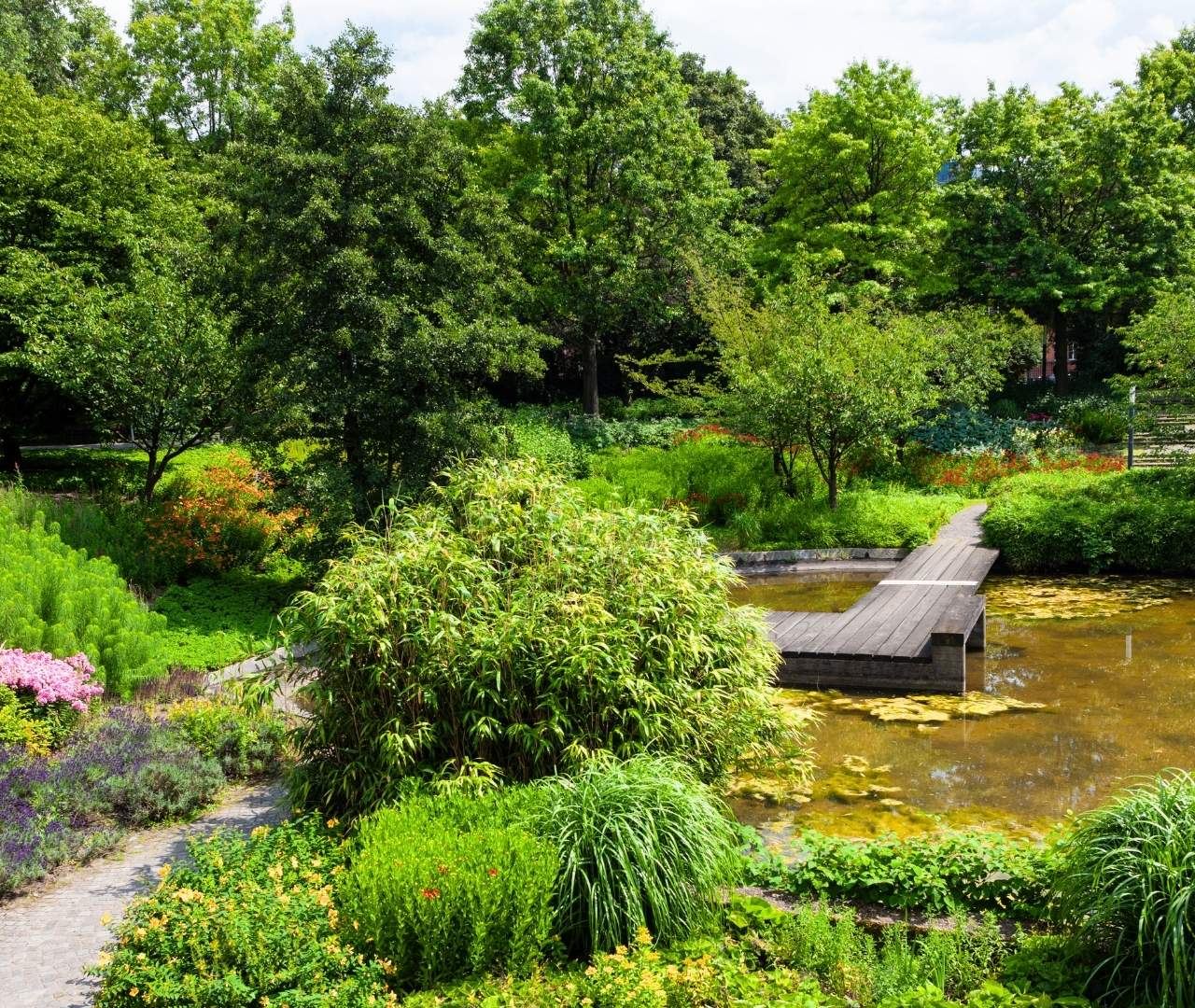 Planten un Blomen – Bild 5